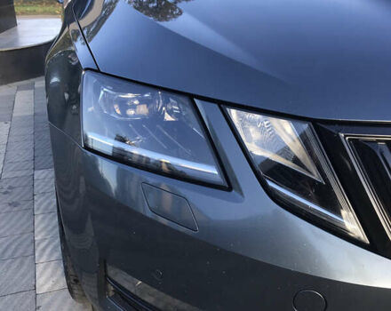 Шкода Октавія 2017 у Ужгороді на Automoto.ua Сірий Шкода Октавія, об'ємом двигуна 1.97 л та пробігом 265 тис. км за 15500 $, фото 3 на Automoto.ua