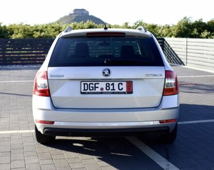Шкода Октавия 2017 в Мукачеве на Automoto.ua Серый Шкода Октавия, объемом двигателя 1.6 л и пробегом 236 тыс. км за 12799 $, фото 6 на Automoto.ua