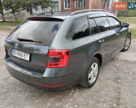 Шкода Октавия 2017 в Тернополе на Automoto.ua Серый Шкода Октавия, объемом двигателя 1.6 л и пробегом 250 тыс. км за 13400 $, фото 3 на Automoto.ua