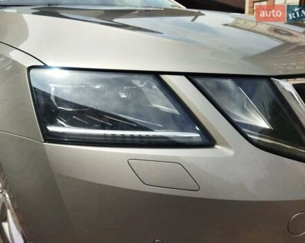 Шкода Октавия 2019 в Житомире на Automoto.ua Серый Шкода Октавия, объемом двигателя 1.6 л и пробегом 211 тыс. км за 13499 $, фото 23 на Automoto.ua