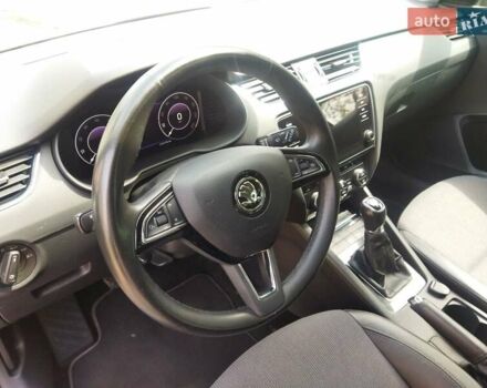 Шкода Октавия 2019 в Житомире на Automoto.ua Серый Шкода Октавия, объемом двигателя 1.6 л и пробегом 211 тыс. км за 13499 $, фото 27 на Automoto.ua