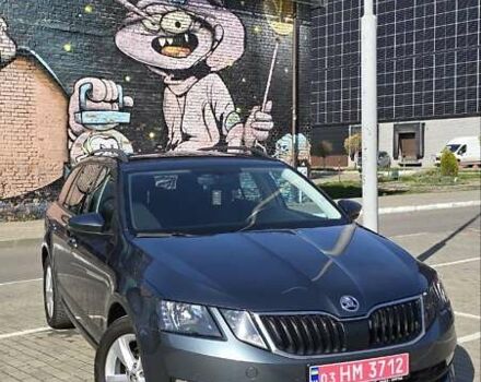 Шкода Октавия 2019 в Луцке на Automoto.ua Серый Шкода Октавия, объемом двигателя 1.97 л и пробегом 269 тыс. км за 15400 $, фото 4 на Automoto.ua
