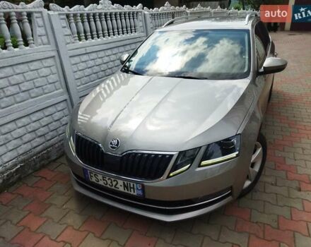 Шкода Октавия 2019 в Житомире на Automoto.ua Серый Шкода Октавия, объемом двигателя 1.6 л и пробегом 211 тыс. км за 13499 $, фото 48 на Automoto.ua