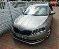 Шкода Октавия 2019 в Житомире на Automoto.ua Серый Шкода Октавия, объемом двигателя 1.6 л и пробегом 211 тыс. км за 13499 $, фото 48 на Automoto.ua