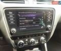 Шкода Октавия 2019 в Житомире на Automoto.ua Серый Шкода Октавия, объемом двигателя 1.6 л и пробегом 211 тыс. км за 13499 $, фото 24 на Automoto.ua