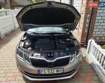 Шкода Октавия 2019 в Житомире на Automoto.ua Серый Шкода Октавия, объемом двигателя 1.6 л и пробегом 211 тыс. км за 13499 $, фото 43 на Automoto.ua