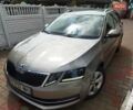 Шкода Октавия 2019 в Житомире на Automoto.ua Серый Шкода Октавия, объемом двигателя 1.6 л и пробегом 211 тыс. км за 13499 $, фото 38 на Automoto.ua