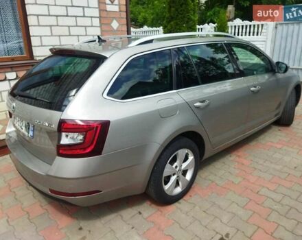 Шкода Октавия 2019 в Житомире на Automoto.ua Серый Шкода Октавия, объемом двигателя 1.6 л и пробегом 211 тыс. км за 13499 $, фото 37 на Automoto.ua