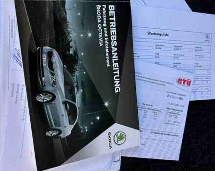 Шкода Октавия 2019 в Дрогобыче на Automoto.ua Серый Шкода Октавия, объемом двигателя 1.97 л и пробегом 231 тыс. км за 16999 $, фото 64 на Automoto.ua