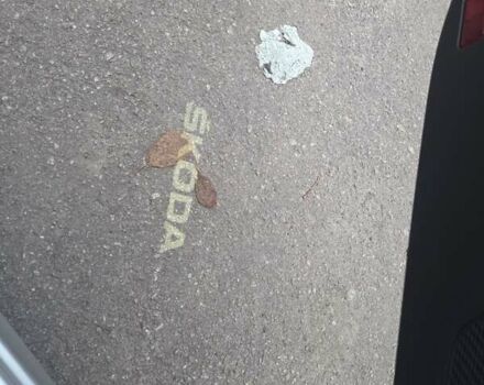 Сірий Шкода Октавія, об'ємом двигуна 2.01 л та пробігом 193 тис. км за 21200 $, фото 1 на Automoto.ua