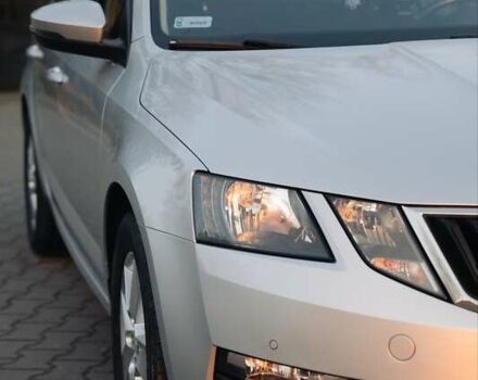 Шкода Октавия 2020 в Киеве на Automoto.ua Серый Шкода Октавия, объемом двигателя 1.97 л и пробегом 273 тыс. км за 15300 $, фото 2 на Automoto.ua