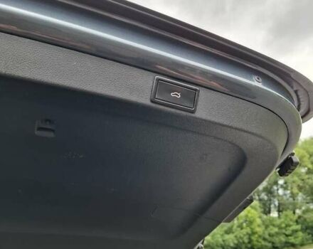 Шкода Октавия 2020 в Житомире на Automoto.ua Серый Шкода Октавия, объемом двигателя 1.97 л и пробегом 167 тыс. км за 22500 $, фото 46 на Automoto.ua