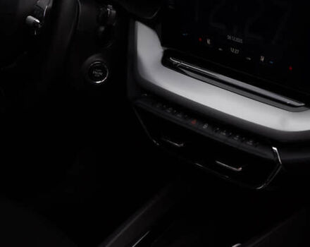 Серый Шкода Октавия, объемом двигателя 1.97 л и пробегом 149 тыс. км за 24000 $, фото 21 на Automoto.ua