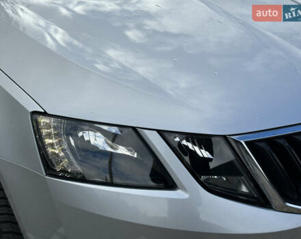 Серый Шкода Октавия, объемом двигателя 2 л и пробегом 185 тыс. км за 17500 $, фото 10 на Automoto.ua