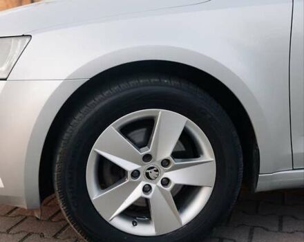 Шкода Октавия 2020 в Киеве на Automoto.ua Серый Шкода Октавия, объемом двигателя 1.97 л и пробегом 273 тыс. км за 15300 $, фото 7 на Automoto.ua