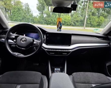 Шкода Октавия 2020 в Житомире на Automoto.ua Серый Шкода Октавия, объемом двигателя 1.97 л и пробегом 167 тыс. км за 22500 $, фото 22 на Automoto.ua