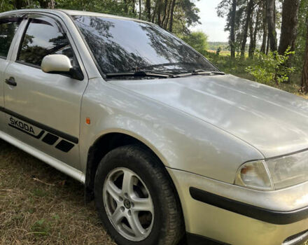 Серый Шкода Октавия, объемом двигателя 2 л и пробегом 254 тыс. км за 3000 $, фото 6 на Automoto.ua
