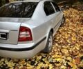 Сірий Шкода Октавія, об'ємом двигуна 1.6 л та пробігом 3 тис. км за 4100 $, фото 6 на Automoto.ua