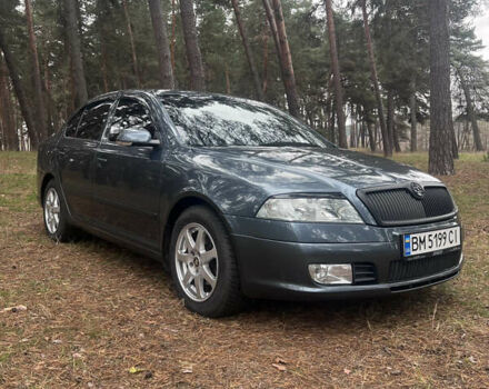 Сірий Шкода Октавія, об'ємом двигуна 1.6 л та пробігом 238 тис. км за 7700 $, фото 13 на Automoto.ua