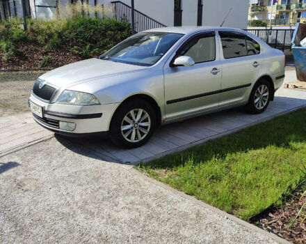 Серый Шкода Октавия, объемом двигателя 1.6 л и пробегом 245 тыс. км за 6000 $, фото 8 на Automoto.ua