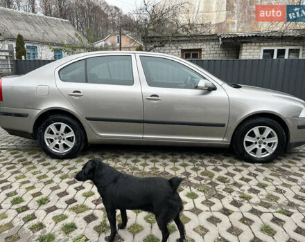 Серый Шкода Октавия, объемом двигателя 1.6 л и пробегом 234 тыс. км за 6999 $, фото 8 на Automoto.ua
