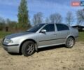 Серый Шкода Октавия, объемом двигателя 1.9 л и пробегом 226 тыс. км за 5999 $, фото 1 на Automoto.ua