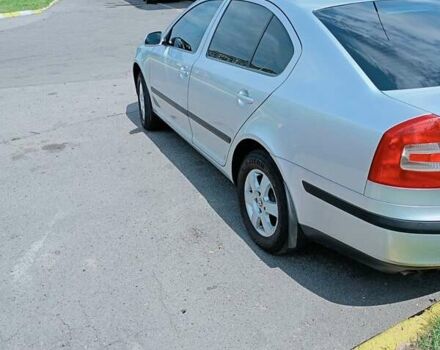 Шкода Октавия 2008 в Полтаве на Automoto.ua Серый Шкода Октавия, объемом двигателя 1.98 л и пробегом 231 тыс. км за 6800 $, фото 3 на Automoto.ua