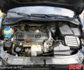 Шкода Октавия 2009 в Кропивницком (Кировограде) на Automoto.ua Серый Шкода Октавия, объемом двигателя 1.4 л и пробегом 219 тыс. км за 6400 $, фото 5 на Automoto.ua