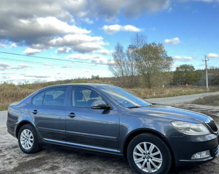 Серый Шкода Октавия, объемом двигателя 1.6 л и пробегом 227 тыс. км за 7950 $, фото 2 на Automoto.ua