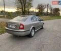Шкода Октавія 2009 у Белой Церкве на Automoto.ua Сірий Шкода Октавія, об'ємом двигуна 1.9 л та пробігом 209 тис. км за 6800 $, фото 1 на Automoto.ua