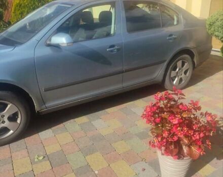 Серый Шкода Октавия, объемом двигателя 1.6 л и пробегом 237 тыс. км за 5500 $, фото 2 на Automoto.ua