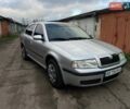 Сірий Шкода Октавія, об'ємом двигуна 1.6 л та пробігом 252 тис. км за 4999 $, фото 1 на Automoto.ua
