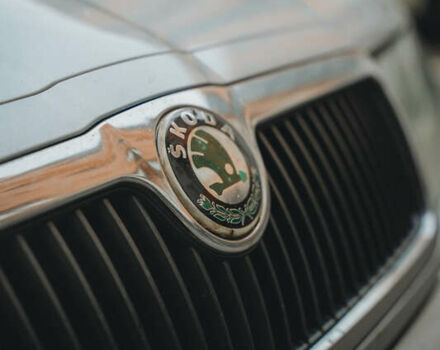 Серый Шкода Октавия, объемом двигателя 1.6 л и пробегом 203 тыс. км за 6900 $, фото 21 на Automoto.ua