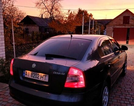 Серый Шкода Октавия, объемом двигателя 1.6 л и пробегом 180 тыс. км за 8600 $, фото 4 на Automoto.ua