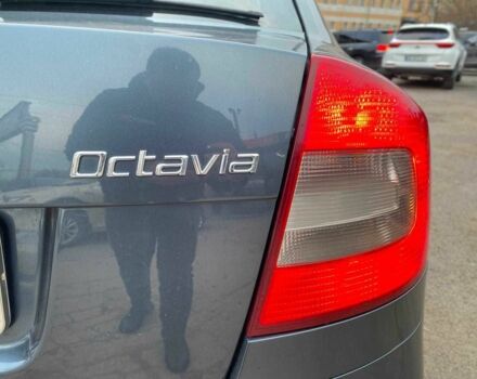 Сірий Шкода Октавія, об'ємом двигуна 1.9 л та пробігом 295 тис. км за 6590 $, фото 17 на Automoto.ua