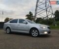 Серый Шкода Октавия, объемом двигателя 1.6 л и пробегом 235 тыс. км за 8700 $, фото 30 на Automoto.ua