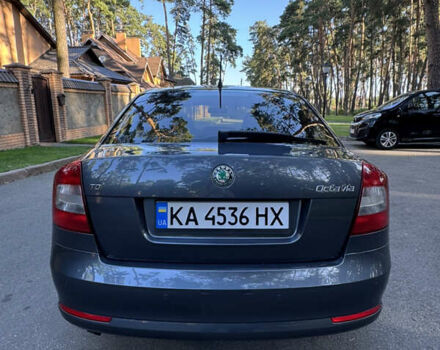 Серый Шкода Октавия, объемом двигателя 1.6 л и пробегом 237 тыс. км за 8300 $, фото 11 на Automoto.ua