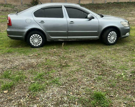 Серый Шкода Октавия, объемом двигателя 1.9 л и пробегом 290 тыс. км за 6400 $, фото 9 на Automoto.ua