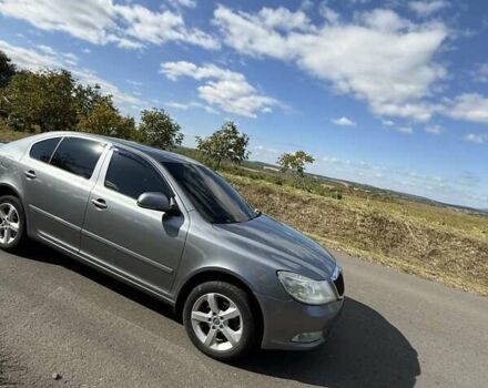 Серый Шкода Октавия, объемом двигателя 1.9 л и пробегом 260 тыс. км за 9000 $, фото 3 на Automoto.ua