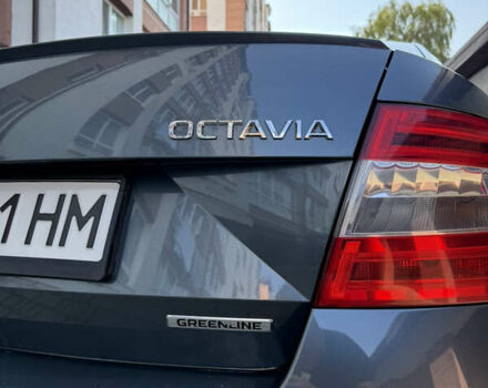 Шкода Октавия 2014 в Ивано-Франковске на Automoto.ua Серый Шкода Октавия, объемом двигателя 1.6 л и пробегом 272 тыс. км за 10500 $, фото 2 на Automoto.ua