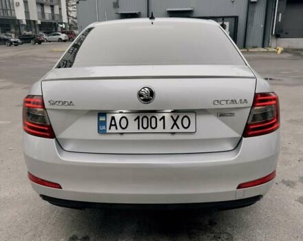 Серый Шкода Октавия, объемом двигателя 1.97 л и пробегом 279 тыс. км за 15500 $, фото 6 на Automoto.ua
