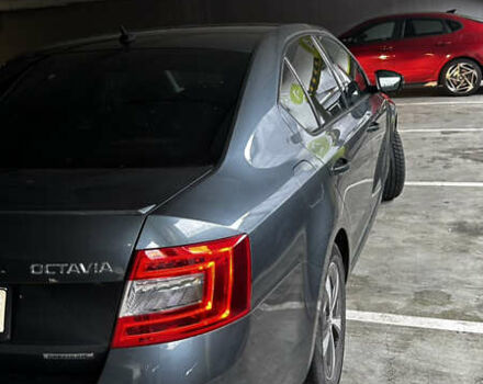 Серый Шкода Октавия, объемом двигателя 1.6 л и пробегом 185 тыс. км за 13000 $, фото 2 на Automoto.ua