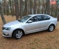 Шкода Октавія 2017 у Сосницы на Automoto.ua Сірий Шкода Октавія, об'ємом двигуна 1.4 л та пробігом 243 тис. км за 12000 $, фото 1 на Automoto.ua