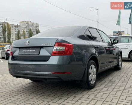 Шкода Октавия 2019 в Киеве на Automoto.ua Серый Шкода Октавия, объемом двигателя 1.6 л и пробегом 168 тыс. км за 14900 $, фото 7 на Automoto.ua