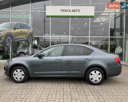 Шкода Октавия 2019 в Киеве на Automoto.ua Серый Шкода Октавия, объемом двигателя 1.6 л и пробегом 168 тыс. км за 14900 $, фото 10 на Automoto.ua