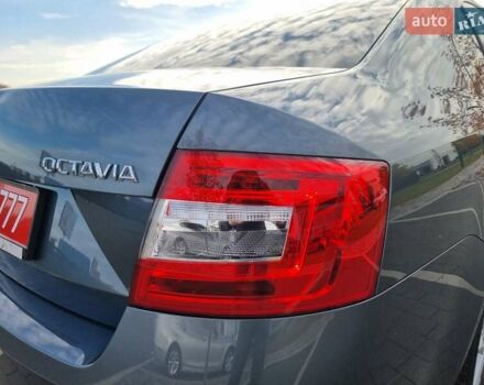 Шкода Октавия 2019 в Мукачеве на Automoto.ua Серый Шкода Октавия, объемом двигателя 1.4 л и пробегом 208 тыс. км за 12500 $, фото 13 на Automoto.ua