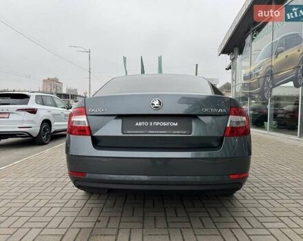 Шкода Октавия 2019 в Киеве на Automoto.ua Серый Шкода Октавия, объемом двигателя 1.6 л и пробегом 168 тыс. км за 14900 $, фото 6 на Automoto.ua