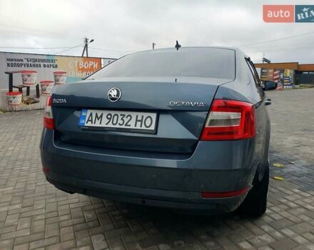 Шкода Октавия 2019 в Киеве на Automoto.ua Серый Шкода Октавия, объемом двигателя 1.6 л и пробегом 230 тыс. км за 13490 $, фото 2 на Automoto.ua