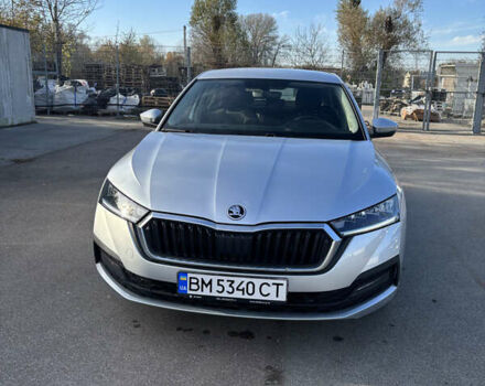 Серый Шкода Октавия, объемом двигателя 1.5 л и пробегом 34 тыс. км за 21000 $, фото 3 на Automoto.ua