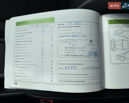 Шкода Октавия 2023 в Мукачеве на Automoto.ua Серый Шкода Октавия, объемом двигателя 1.4 л и пробегом 138 тыс. км за 21499 $, фото 48 на Automoto.ua